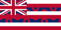 Hawaii State Donut Flag